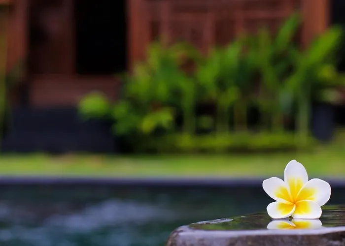 The Hidden Escapes Manggis- Stunning Hidden Gem Villa With Pool, Sauna & Ice Bath