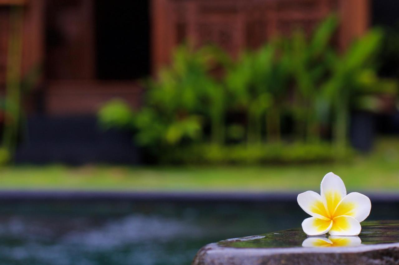 The Hidden Escapes Manggis- Stunning Hidden Gem With Pool, Sauna & Ice Bath छुट्टी का घर *